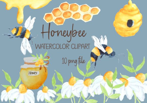 Honey Bee Watercolor Clipart Set