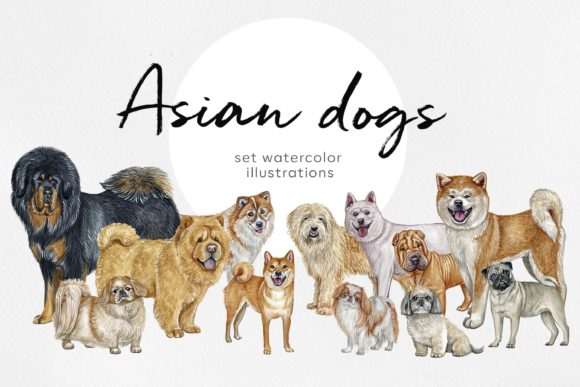 Watercolor 12 Asian Dog Breeds