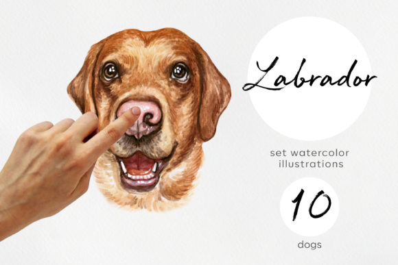 Watercolor Labrador Retriever Dogs: A Versatile Artistic Element for Modern Creatives