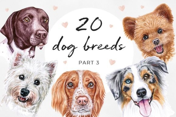 Watercolor Set 20 DOG Breeds PART 3: A Creative Asset for Modern Designers and Entrepreneurs